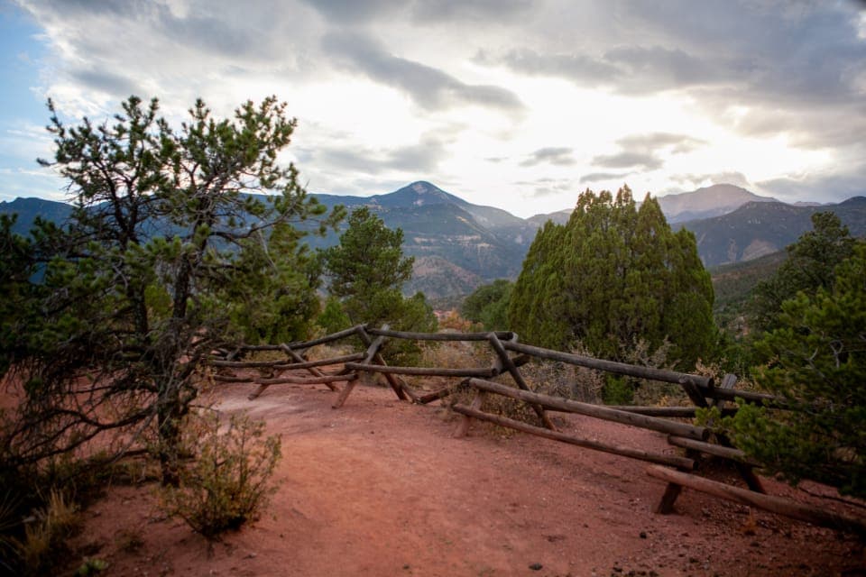 A hiker's thin-soled shoes on a soft forest trail