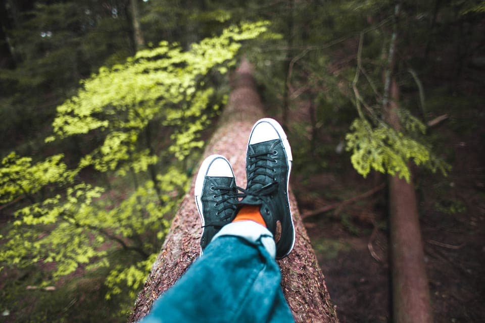 A cushioned zero-drop trail running shoe on a long-distance trail